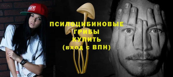 молекула духа Алзамай