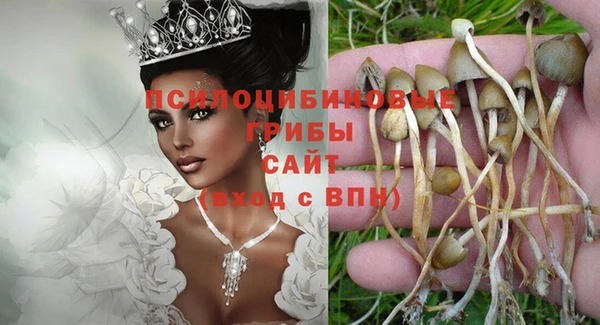 соль курить ск Алексеевка