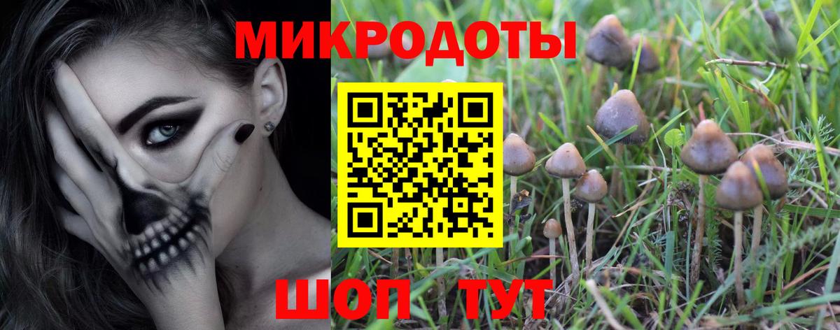 наркотики  Псилоцибиновые грибы Psilocybe  Вход с VPN  Лобня 