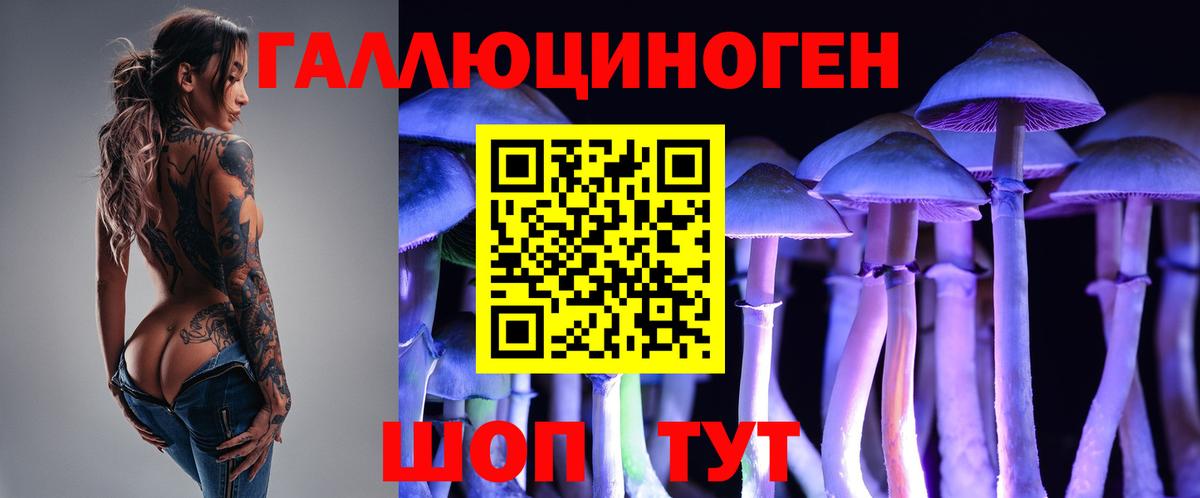 Галлюциногенные грибы Psilocybe Лобня